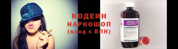 крисы Грязи