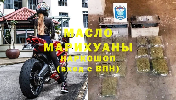 стаф Губаха