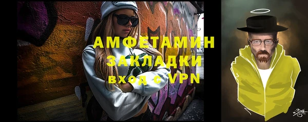 стаф Губаха