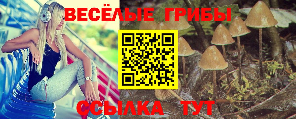 Галлюциногенные грибы мицелий Уварово